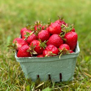 Fresh Strawberry (1lb)