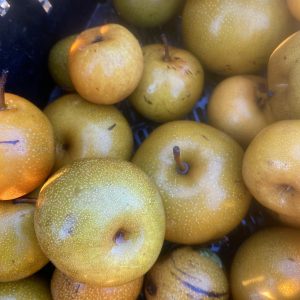 Organic Pear, Asian (1lb)