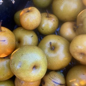 Organic Pear, Asian (1lb)