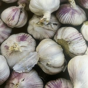 Garlic, Red Russian (1 lb)